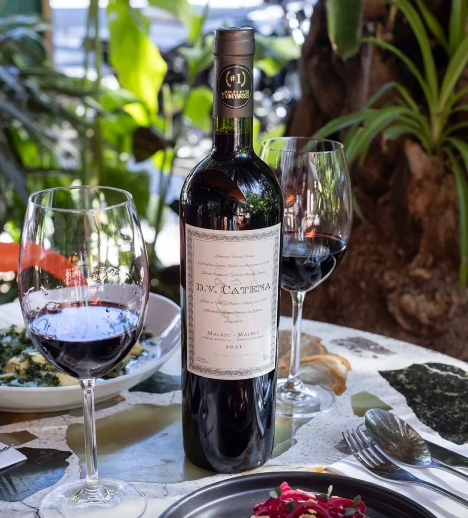 SaveClip.App 494222550 1231432328988489 1215627246695419319 n Vinícola D.V. Catena com taças de vinho tinto