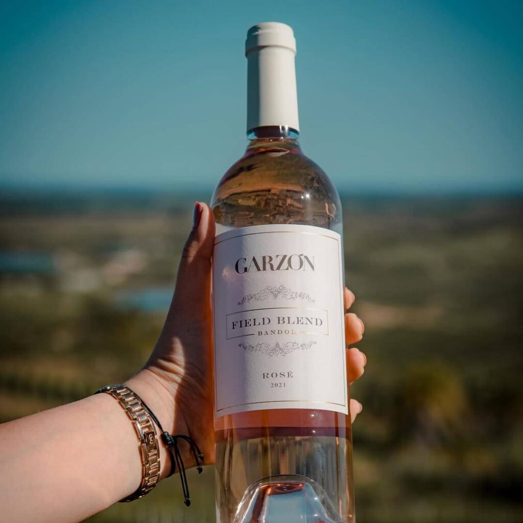 SaveClip.App 473565555 18486727186010620 7348450554555426563 n Garzon Field Blend rosé 2021 ao fundo de paisagem