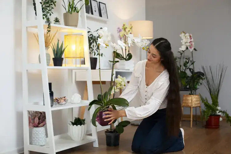 Mulher cuidando de orquídeas em estante de madeira decorada com plantas e luzes.